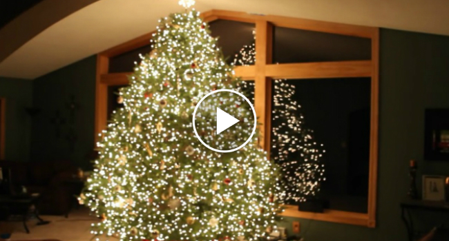 Parece Uma Árvore De Natal Normal, Mas Quando a Música Toca Tudo Muda