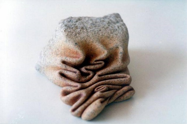 6 Piedra-cerebro