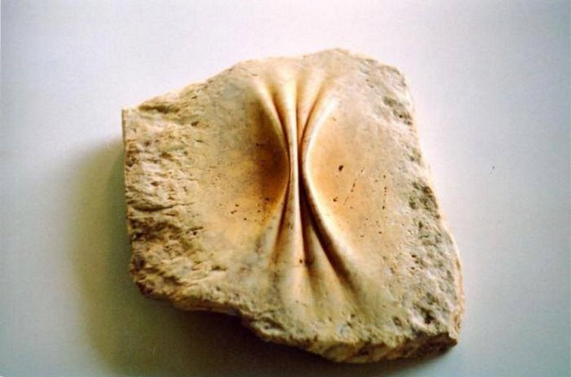 8 Pellizco