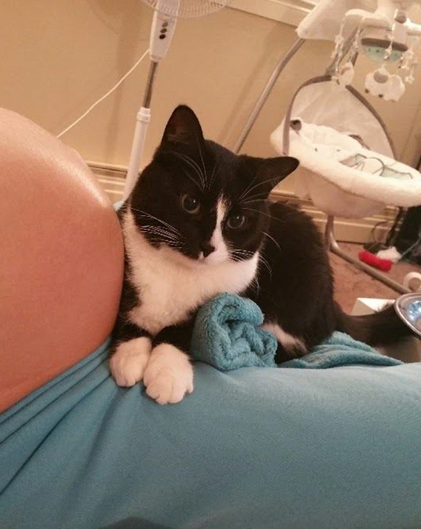 2 GATA