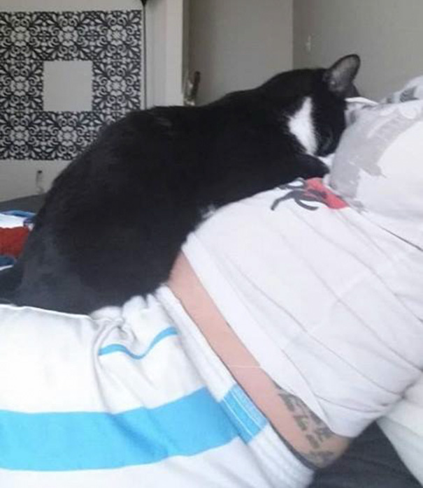 3 Gata