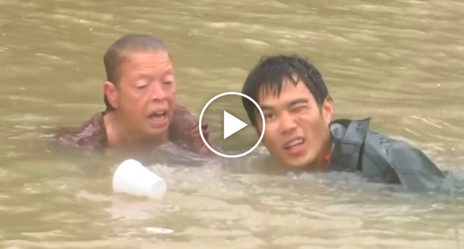 Momento Angustiante Em Que Homem Salva Mulher e Cão De Carro Submerso Em Inundação