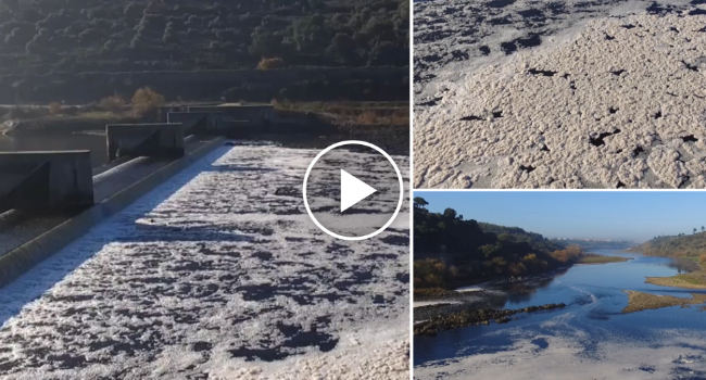 O Vídeo Que Mostra a Poluição No Rio Tejo Em Abrantes, Que Está a Ficar Viral Nas Redes Sociais