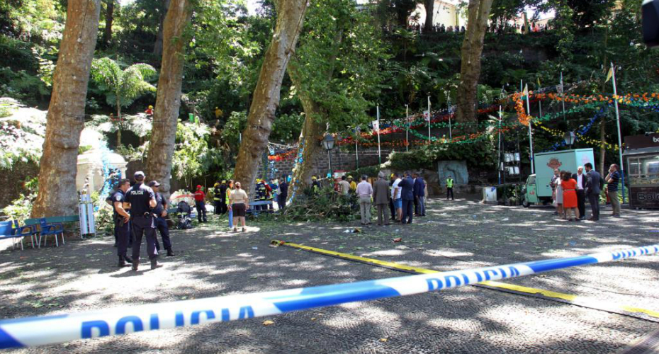 Tragédia Na Madeira: Vídeo Amador Capta Momento Da Queda De Árvore Sobre Multidão
