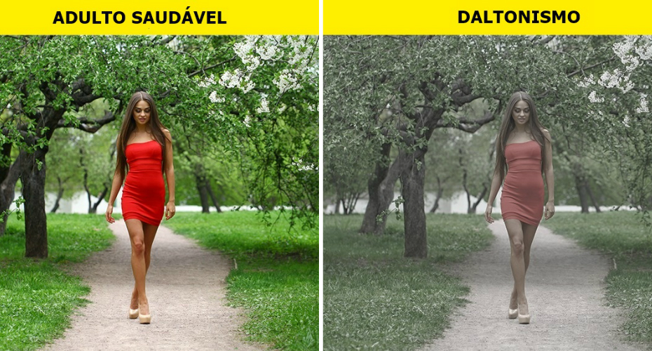 14 Imagens Mostram Como As Pessoas Em Diferentes Estados Físicos Veem o Mundo 14 Imagens Mostram Como As Pessoas Em Diferentes Estados Físicos Veem o Mundo