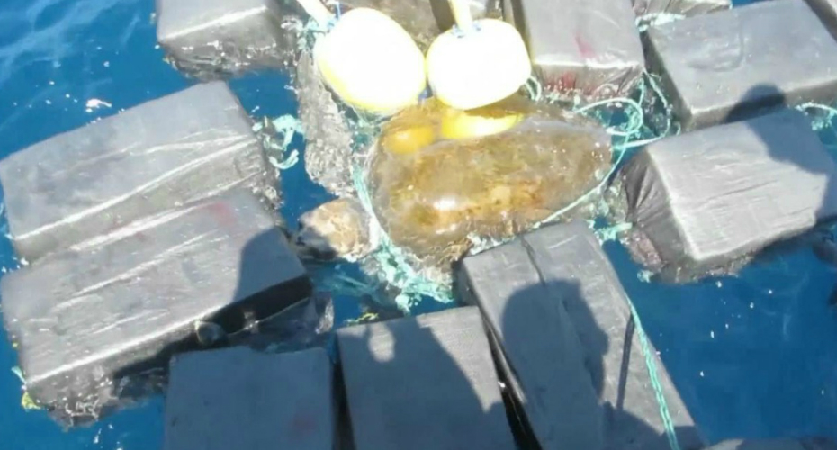 Tartaruga é Resgatada No Mar Após Ser Encontrada Presa a 44 Milhões De Euros Em Cocaína