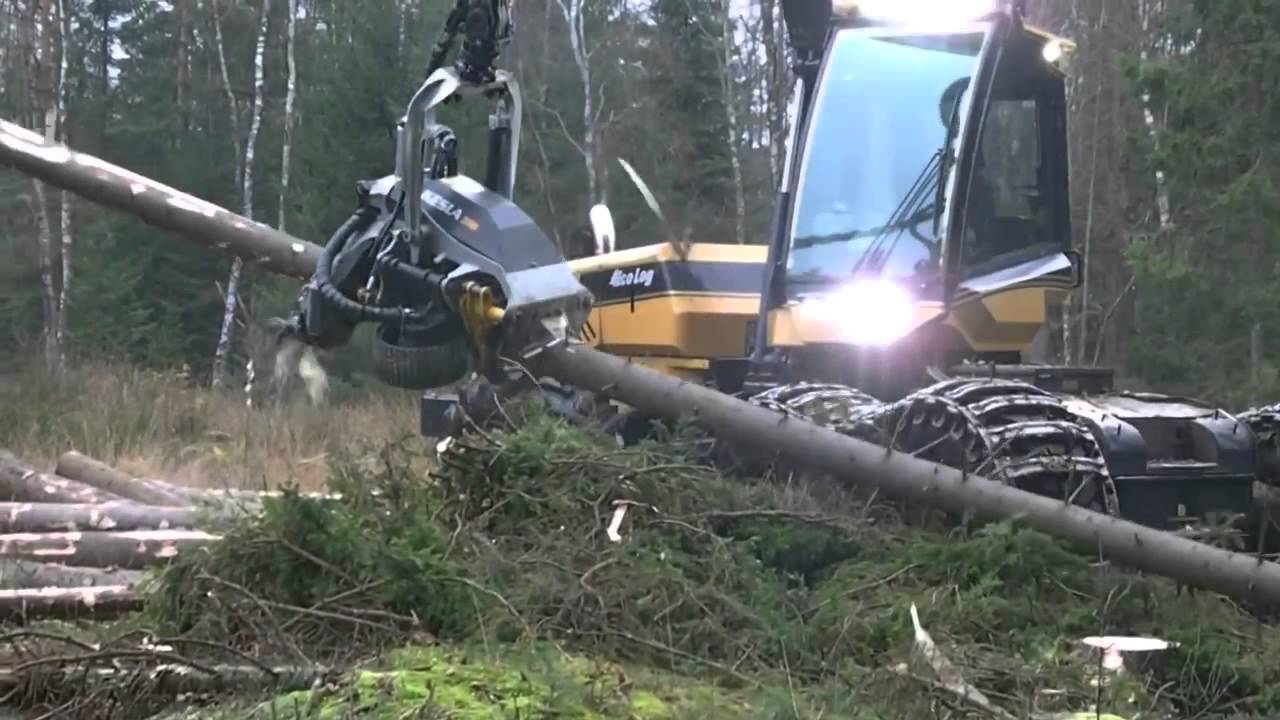VIDEO: Máquina Corta Árvores Em Pequenos Troncos Numa Questão De Segundos