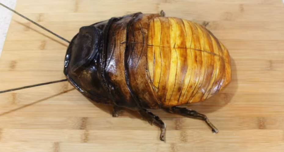 VIDEO: Esta Barata Nojenta é Na Realidade Um Delicioso Bolo VIDEO: Esta Barata Nojenta é Na Realidade Um Delicioso Bolo