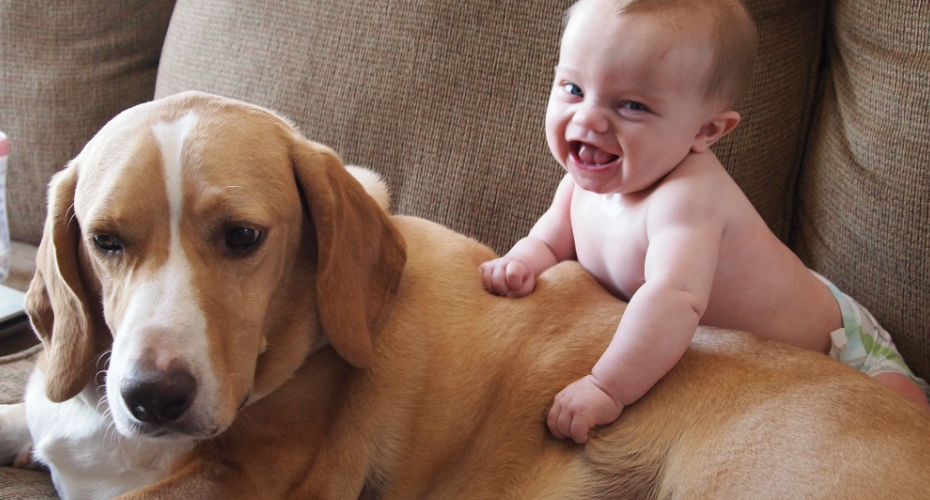 VIDEO: Muito Cuidado Com Crianças e Animais Juntos… Podem Criar Momentos Maravilhosos!
