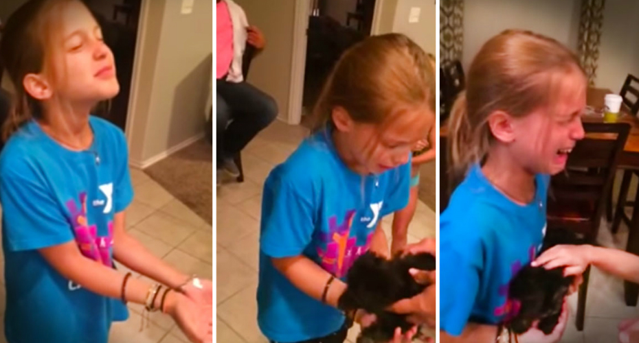 VIDEO: Menina Tem Reação Adorável Ao Receber Um Cachorrinho De Presente