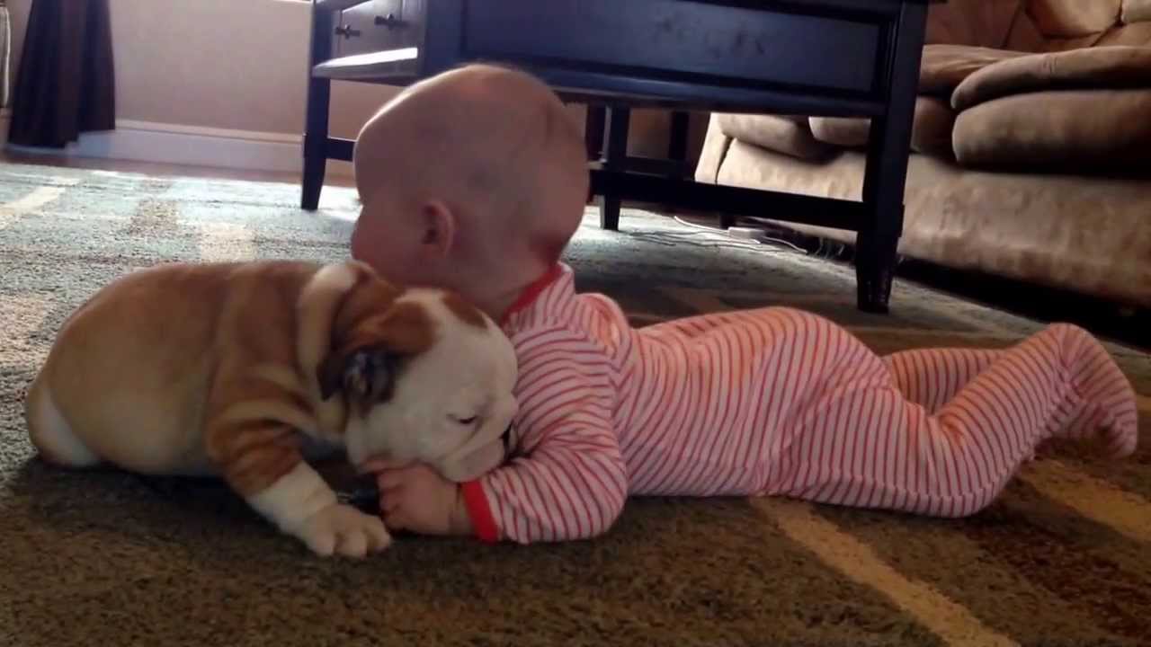 VIDEO: O Que Acontece Quando Se Junta Um Bebé e Um Cachorrinho Bebé?