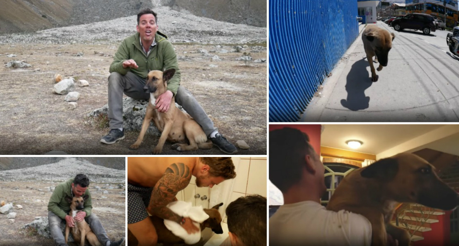 Steve-O (ex-Jackass) Numa Visita Ao Peru Encontrou o “Verdadeiro Amor” Numa Cadela De Rua!