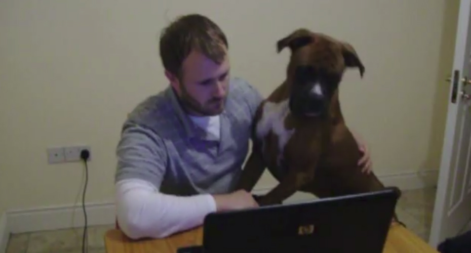 VIDEO: Cão Curioso Tem Reação Hilariante Ao Ver Filme No Computador