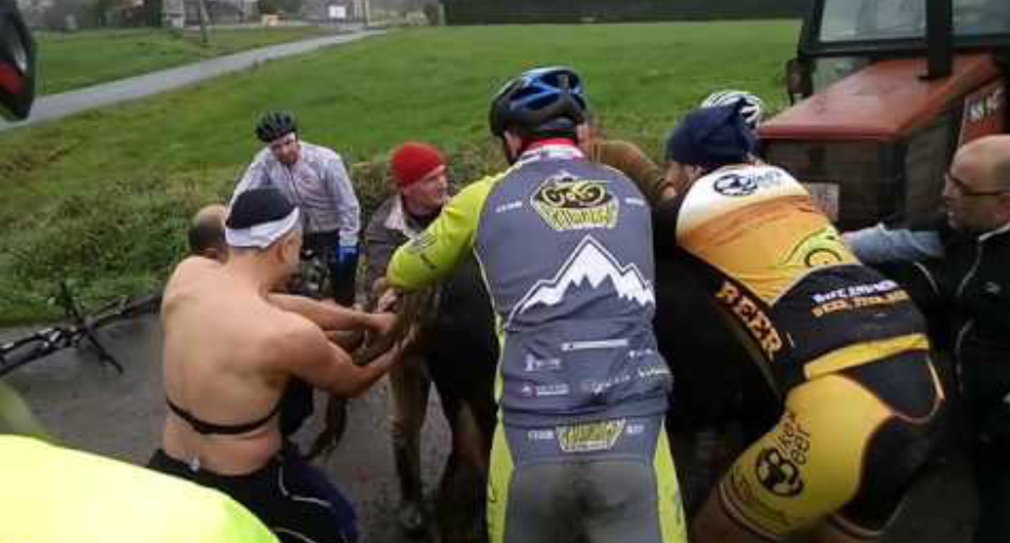 Grupo De Ciclistas Interrompe Passeio Para Ajudar Vaca a Dar à Luz e Salvar Bezerro