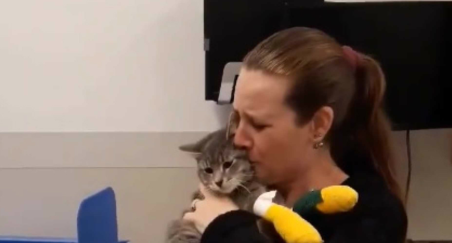 O Reencontro De Uma Mulher Com o Seu Gato Que Fugiu Durante o Fogo Na Califórnia