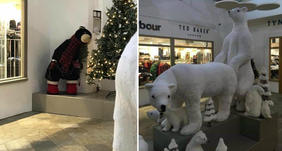 Posição De Ursos Polares Em Exposição De Natal Surpreende Clientes De Centro Comercial