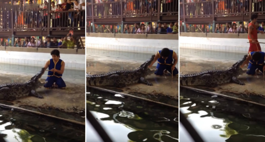 Homem Coloca Braço Dentro Da Boca De Crocodilo e Tem o Susto Da Vida Dele