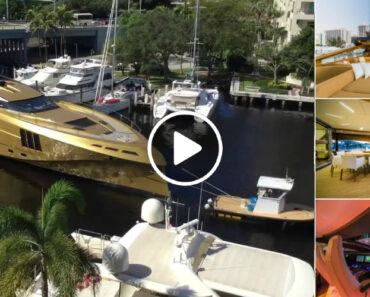 Iate Banhado a Ouro Chama Atenção Ao Chegar a Uma Marina Na Florida