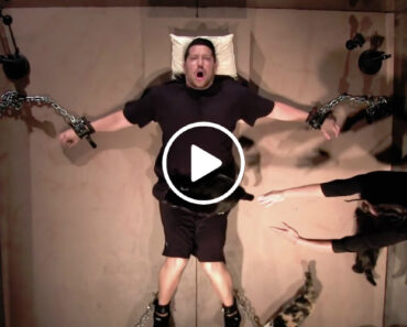 Homem Com Medo De Gatos é Submetido a Experiência Aterrorizante Homem Com Medo De Gatos é Submetido a Experiência Aterrorizante