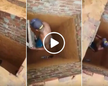 Homem Tenta Salvar Gato Que Caiu Em Buraco Mas é Surpreendido Com a Sua Reação