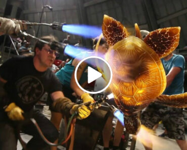 Extraordinária Equipa De Artistas Cria Enorme Tartaruga De Vidro Extraordinária Equipa De Artistas Cria Enorme Tartaruga De Vidro