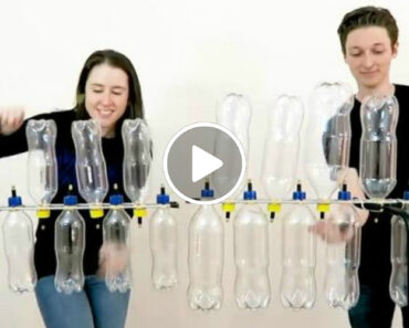 Casal Toca Vários Temas Da Disney Usando Garrafas De Plástico Como Instrumentos Musicais Casal Toca Vários Temas Da Disney Usando Garrafas De Plástico Como Instrumentos Musicais