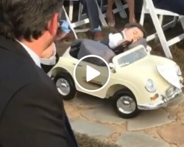 Menino Das Alianças Adormece Ao Volante Quando Ia a Caminho Do Altar Menino Das Alianças Adormece Ao Volante Quando Ia a Caminho Do Altar