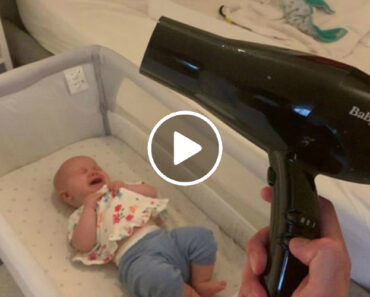 Pai Consegue Fazer Com Que O Seu Bebé Pare Imediatamente De Chorar Usando Um Secador De Cabelo