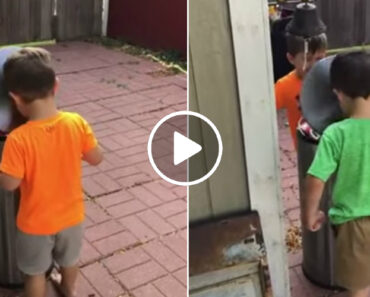 Meninos Divertem-se Com Caixote Do Lixo Ao Baterem Com a Tampa Do Caixote Na Cara Um Do Ouro Meninos Divertem-se Com Caixote Do Lixo Ao Baterem Com a Tampa Do Caixote Na Cara Um Do Ouro