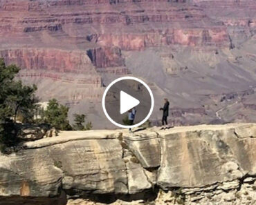 Mulher Escapa Por Um Triz a Queda De Precipício No Grand Canyon