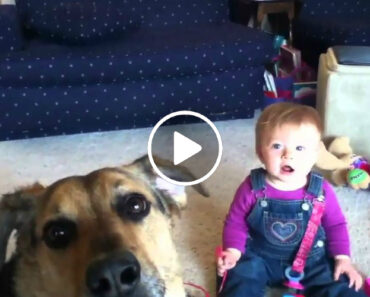 O Sorriso Deste Bebé Ao Ver o Cão Brincar Com Bolas Sabão é Contagiante