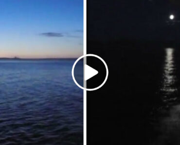 Homem Filma Dia e Noite Ao Mesmo Tempo No Alasca Homem Filma Dia e Noite Ao Mesmo Tempo No Alasca