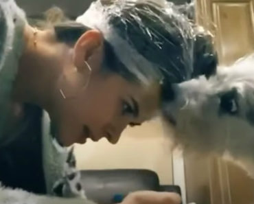 Um Truque Genial Para Cortar As Unhas Do Seu Cão Facilmente Um Truque Genial Para Cortar As Unhas Do Seu Cão Facilmente