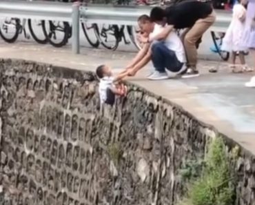 Pai Segura Filho Num Precipício Só Para Tirar Uma Foto Para As Redes Sociais Pai Segura Filho Num Precipício Só Para Tirar Uma Foto Para As Redes Sociais