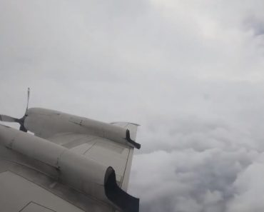 VIDEO: Caçadores De Furacões Voam No Interior Do Furacão Laura VIDEO: Caçadores De Furacões Voam No Interior Do Furacão Laura