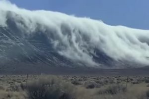 VIDEO: Neve e Nevoeiro Sobre As Montanhas Parecem Uma Onda Gigante