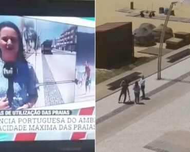 Morador De Quarteira Fica Louco Ao Ver a TVI24 Em Direto Na “Sua” Rua Morador De Quarteira Fica Louco Ao Ver a TVI24 Em Direto Na “Sua” Rua