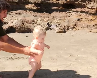 “Soltar a Filha Na Natureza”: A Paródia Hilariante Aos Documentários Da BBC “Soltar a Filha Na Natureza”: A Paródia Hilariante Aos Documentários Da BBC