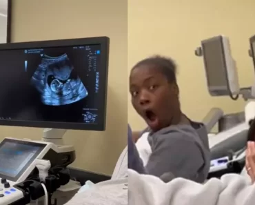 Alunas Criam o Melhor Vídeo De Sempre Durante Uma Aula De Ecografia Alunas Criam o Melhor Vídeo De Sempre Durante Uma Aula De Ecografia