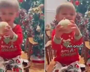 Menino Recebe Cebola Como Presente De Natal Antecipado, e Esta Foi a Reação Menino Recebe Cebola Como Presente De Natal Antecipado, e Esta Foi a Reação