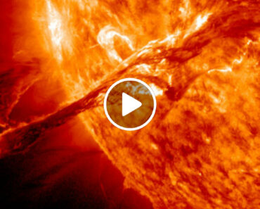 Incrível Time-Lapse Da NASA Mostra Mais De 100 Dias De Atividades Solares