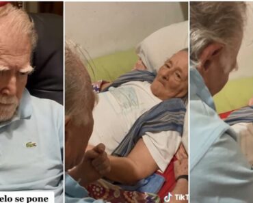 “Tanto Carinho”: Mulher Perdeu Memória Há 15 Anos e Só Reconhece Marido “Tanto Carinho”: Mulher Perdeu Memória Há 15 Anos e Só Reconhece Marido