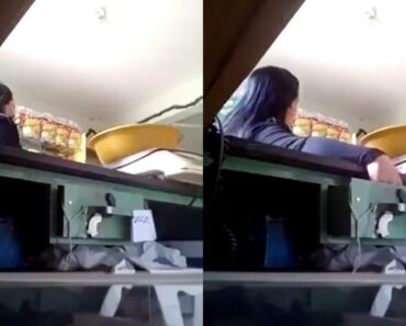 Dono De Mercearia Colocou Ratoeira Na Caixa Do Dinheiro e Apanhou Ladra Em Flagrante Dono De Mercearia Colocou Ratoeira Na Caixa Do Dinheiro e Apanhou Ladra Em Flagrante