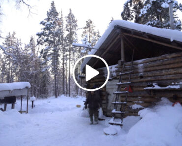 Como é Viver Sozinho Na Floresta Selvagem Siberiana Há 20 Anos