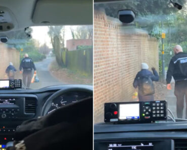 Momento Em Que Agente Ajuda Idosa a Carregar Sacos “Derrete” Internet Momento Em Que Agente Ajuda Idosa a Carregar Sacos “Derrete” Internet