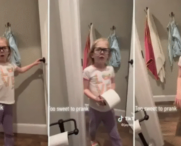 Mãe Faz Partida a Filha Com Cocó Falso. Reação é Inesperada… e Adorável Mãe Faz Partida a Filha Com Cocó Falso. Reação é Inesperada… e Adorável