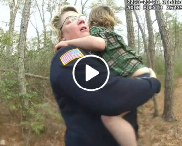 Criança Perdida é Encontrada Com Cão Que Nunca Saiu Do Seu Lado Enquanto Estava Perdida Criança Perdida é Encontrada Com Cão Que Nunca Saiu Do Seu Lado Enquanto Estava Perdida