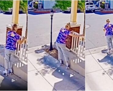 Mulher Sai à Rua Pela 1ª Vez De Patins Mas Tem Experiência Digna De Desenhos Animados Mulher Sai à Rua Pela 1ª Vez De Patins Mas Tem Experiência Digna De Desenhos Animados