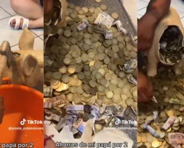 Parte Mealheiro e Encontra 17 Mil Euros No Interior. “Horas a Contar” Parte Mealheiro e Encontra 17 Mil Euros No Interior. “Horas a Contar”