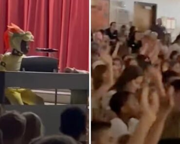 Criança Arrasa Em Espetáculo De Talentos Com Música De “Super Mario Bros” Criança Arrasa Em Espetáculo De Talentos Com Música De “Super Mario Bros”